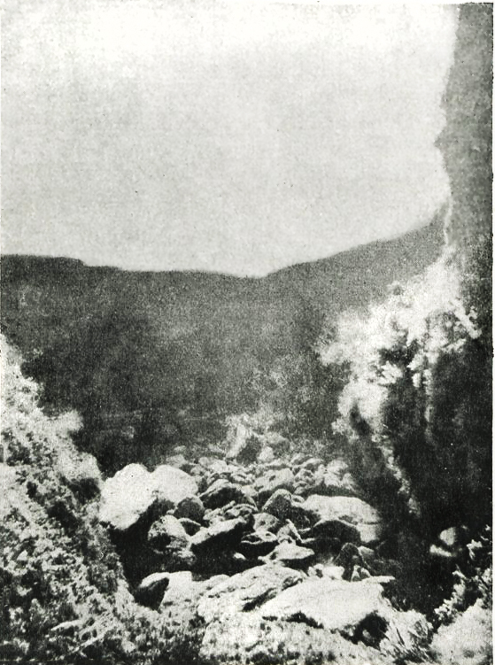 Paysage sous-marine de la baie de Banyuls