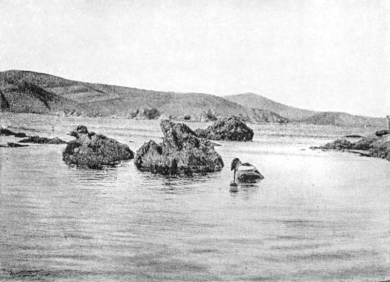 Prise d'une épreuve de pbolograpbie sous-marine dans le voisinage du rivage