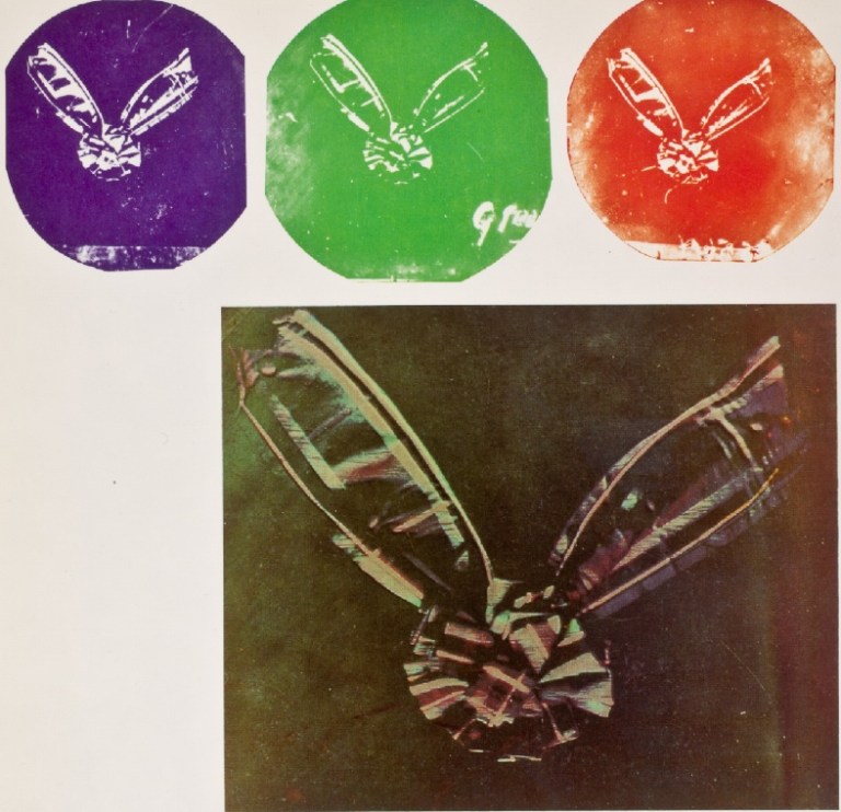 CoePhotography_Maxwell