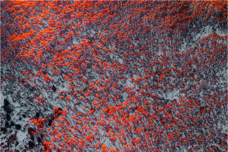 JOhn Gollings Mt Baw Baw 2019 from the series Aerial landscape pigment ink-jet print 92.0 x 137.8 cm courtesy of the artist