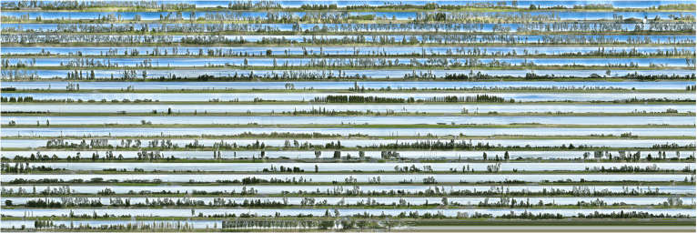 Kelvin Lau South Gippsland Highway 2020 pigment ink-jet print 50.8 x 152.4 cm courtesy of the artist