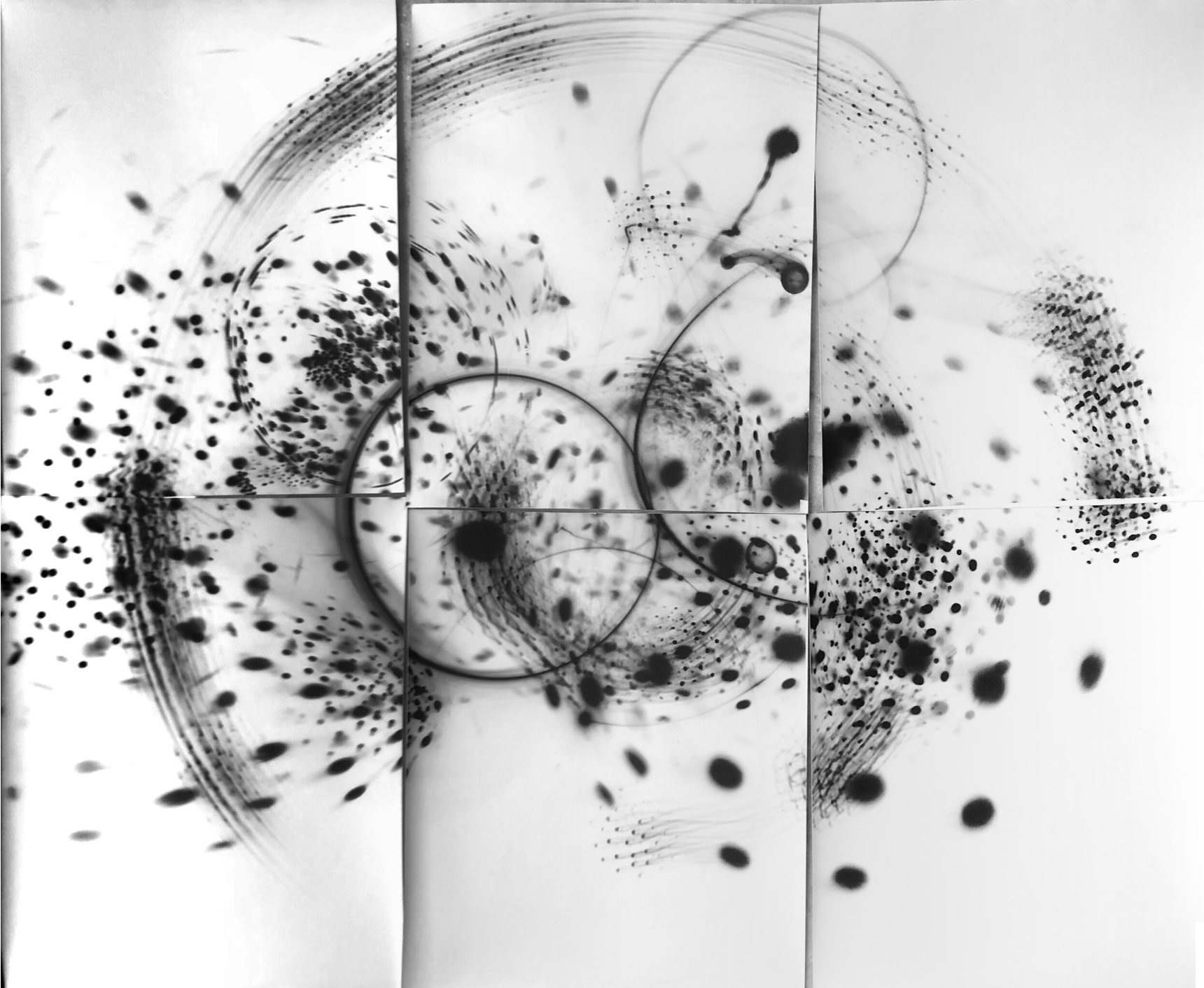 Screen Shot 2020-09-08 at 3.36.14 pm