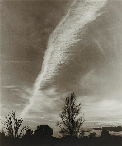 olive-cotton-vapour-trail