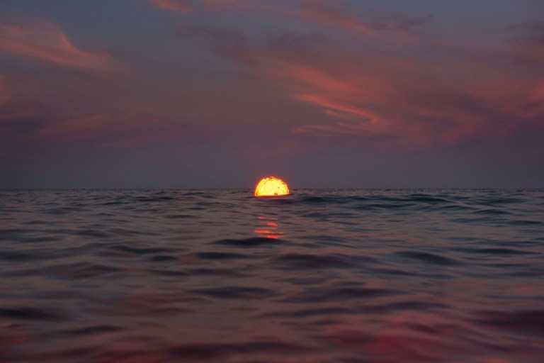 BecomingWilderness_XXXI_B-960x640