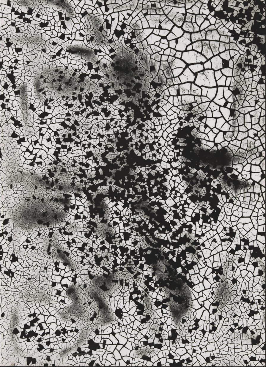 Screen Shot 2021-03-16 at 2.58.32 pm