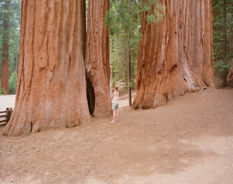 WatchingHumansWatching_XX