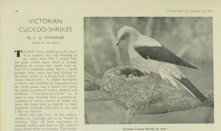 Screen Shot 2021-05-29 at 4.06.18 pm