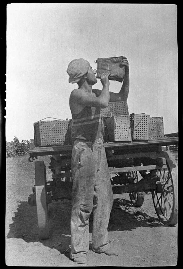 Screen Shot 2021-05-30 at 10.05.36 am