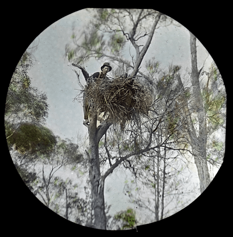 Screen Shot 2021-05-30 at 10.06.52 am