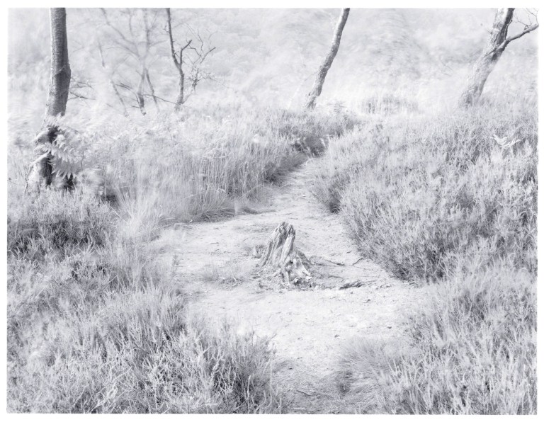 Wind Series II 1 1981