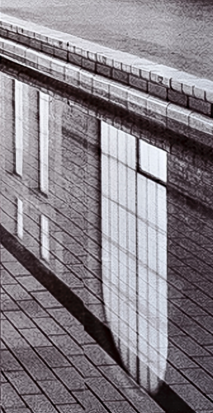 Screen Shot 2021-11-15 at 11.49.55 am