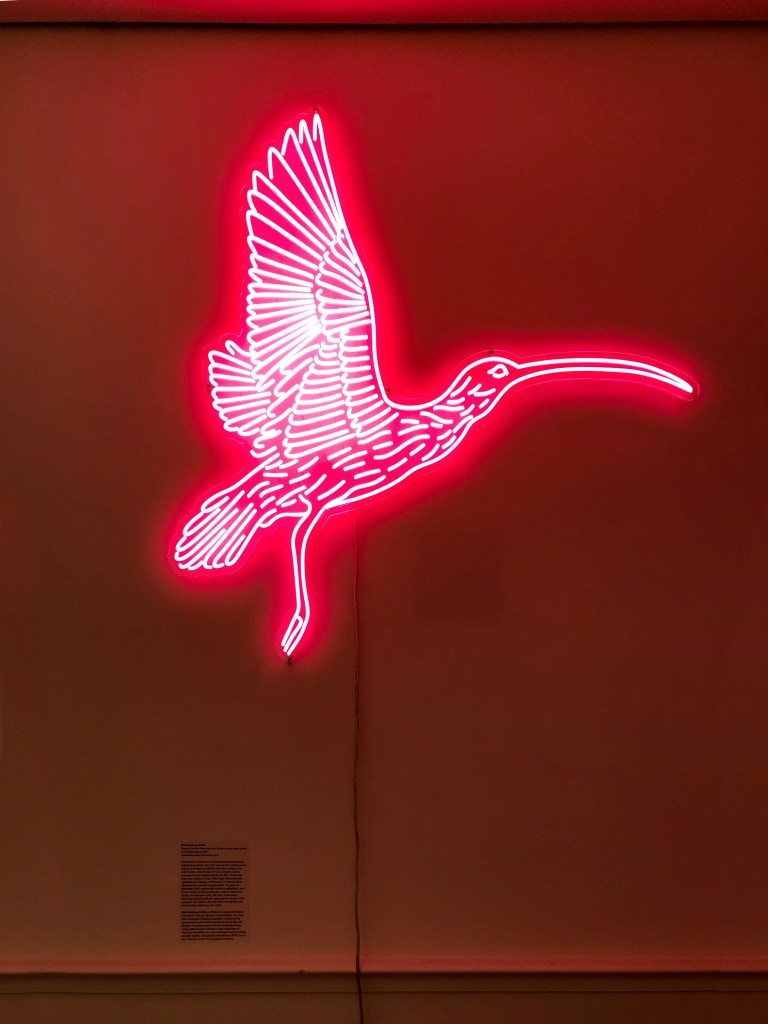 Eastem Curlew Afterimage