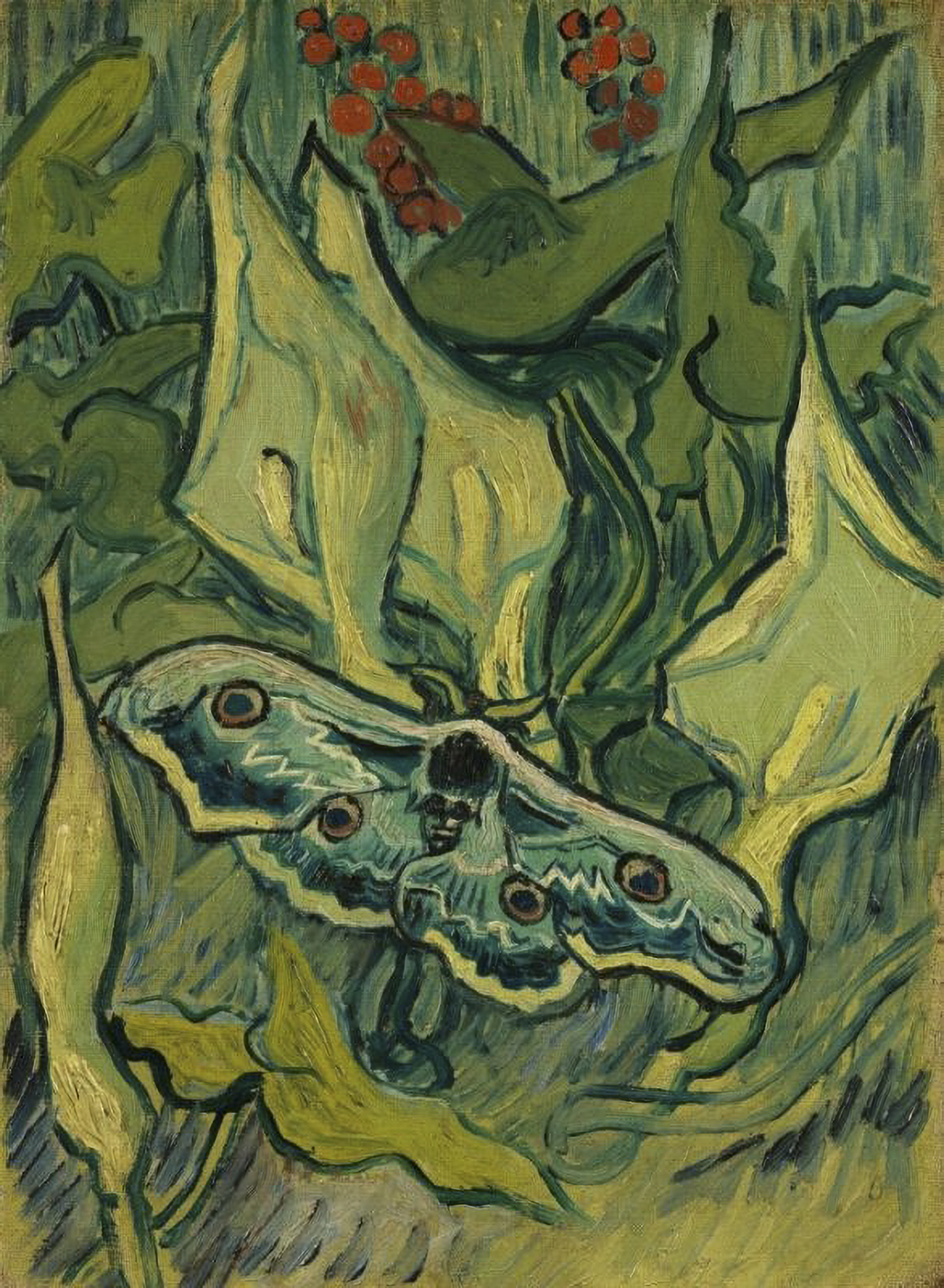 Giant Peacock Moth Vincent van Gogh (1853 - 1890), Saint-Rémy-de-Provence, May-June 1889