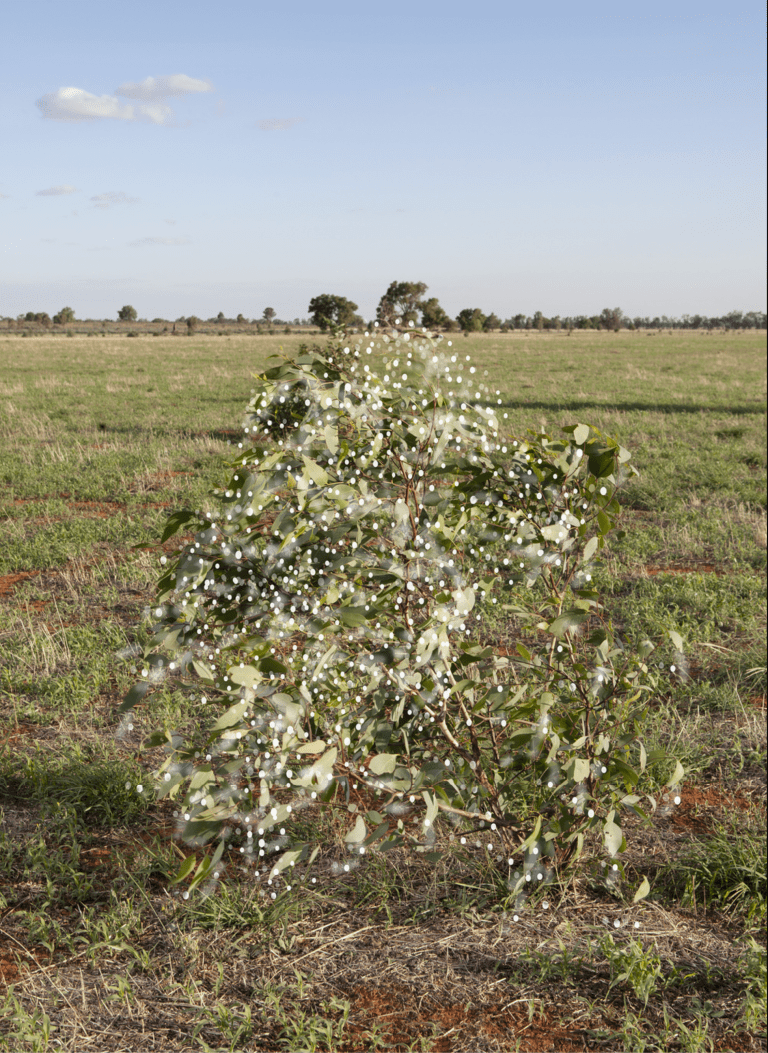 Screen Shot 2022-03-10 at 9.05.08 pm