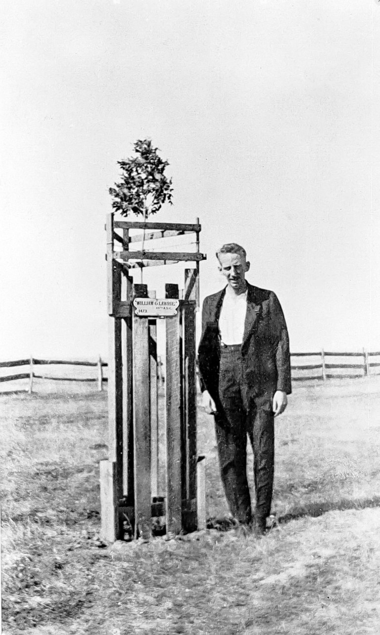 Alan Lawrie Standing Next to his Tree in the Avenue of Honour, Ballarat, Victoria, pre 1925, Alan Lawrie standing next to the tree in the Avenue of Honour which bears his name