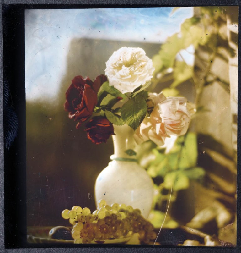 Gabriel Lippmann, Nature Morte, 1891-99, Collection musée de l'Elysée, Lausanne