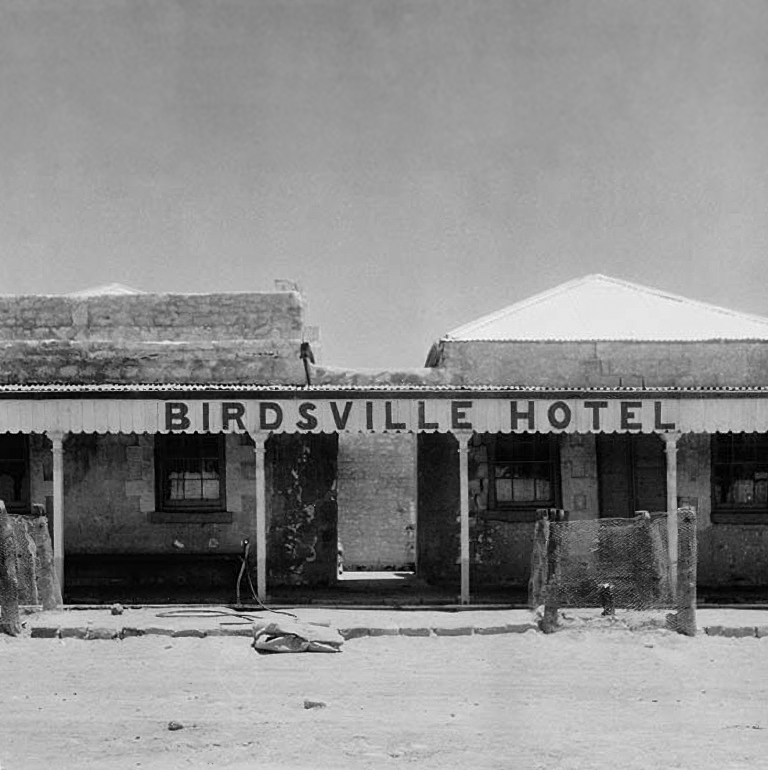 BirdsvillePub