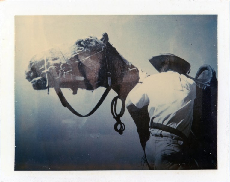 Man mounting horse double exp