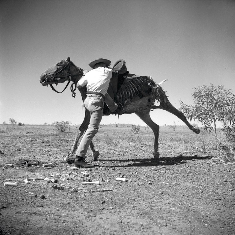 Sidney Nolan (Australian, 1917-1992) Untitled (Brian the stockman mounting dead horse) 1952 Archival inkjet print 23.0 cm x 23.0cm