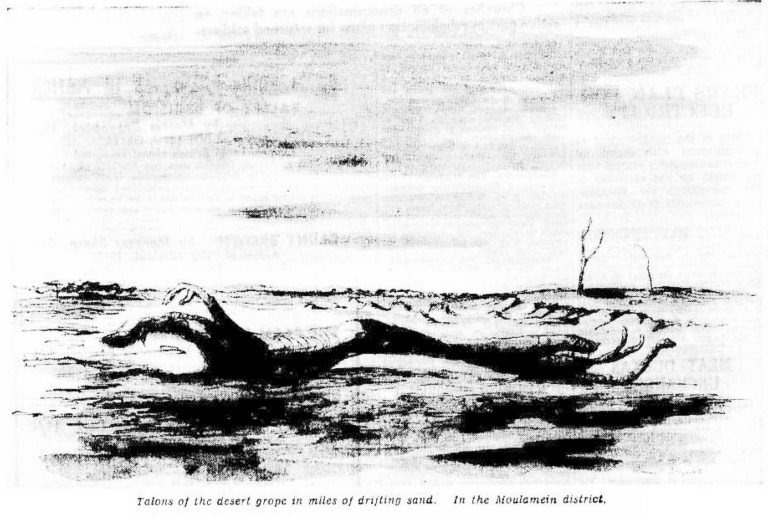 Talons of the desert grope in miles of drifting sand. In the Moulamein district.