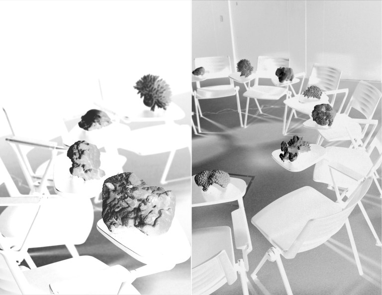 Film Fossil #2, 2023 Pigment print on cotton rag paper Ed. of 1 + 2AP’s 16 x 25cm each