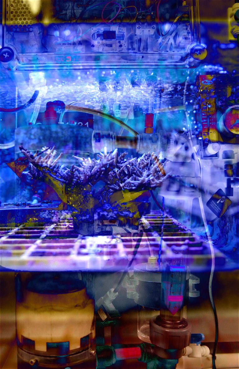 Film Fossil #5, 2023Pigment print on cotton rag paperEd. of 1 + 2AP’s16 x 25cm