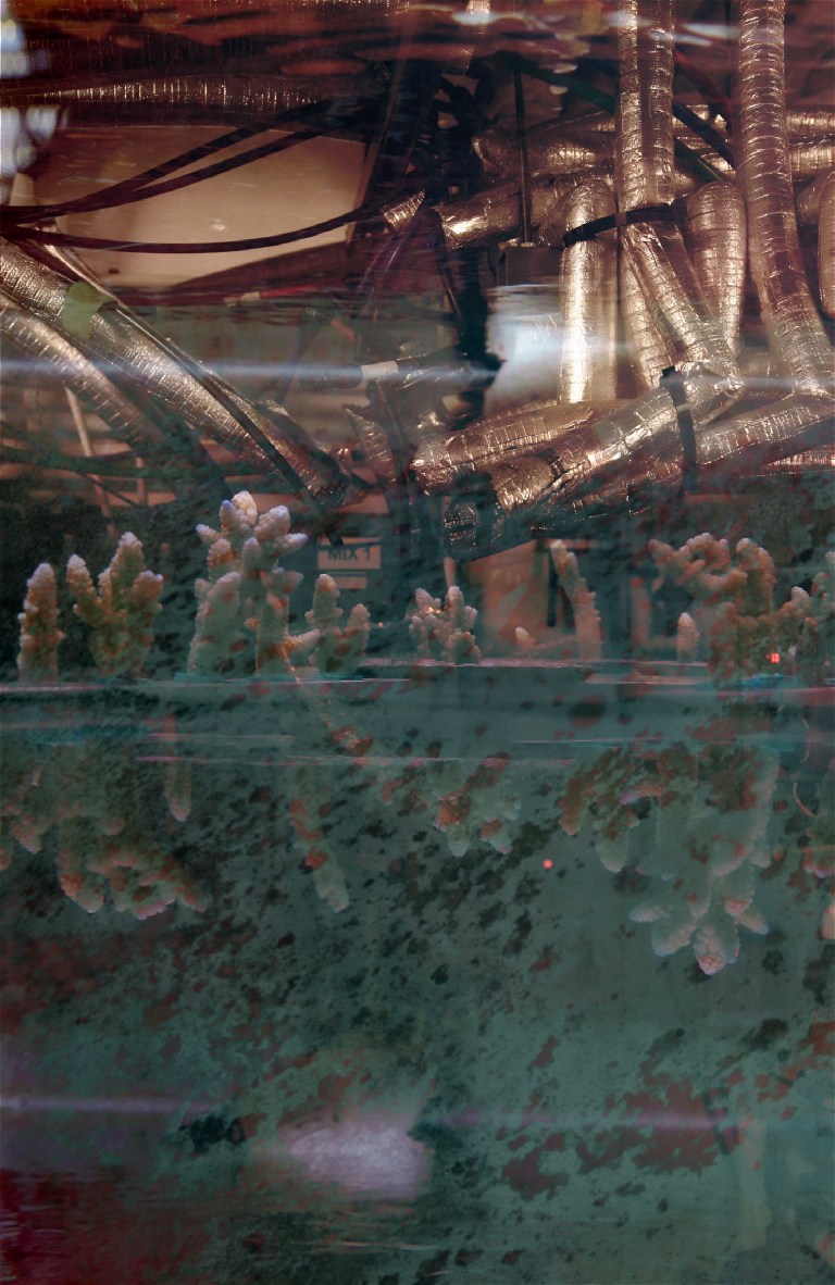 Film Fossil #8, 2023Pigment print on cotton rag paperEd. of 1 + 2AP’s16 x 25cm