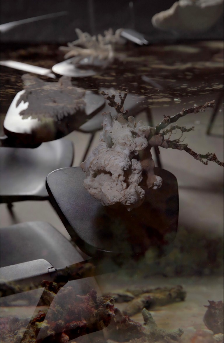 Film Fossil #9, 2023Pigment print on cotton rag paperEd. of 1 + 2AP’s16 x 25cm