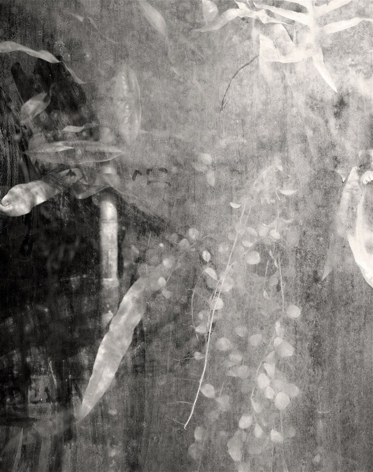 JANE_BROWN_03_2048pxw