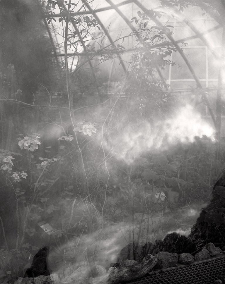 The Forcing House (Tropenhaus)