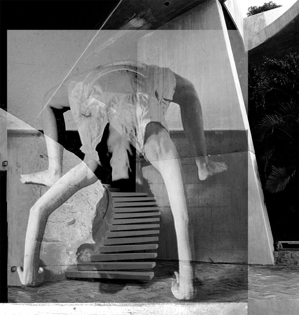 Barbara Morgan | On This Date in Photography: by James Mcardle